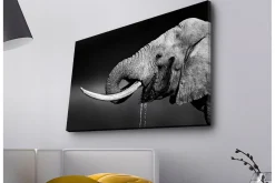 Canvastavla med LED-belysning - Elefant i svartvitt med detaljerad textur