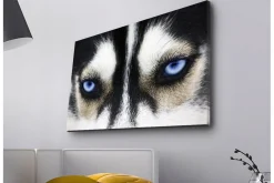 Canvastavla med LED-belysning - Närbild av en hund med intensiva blå ögon