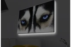 Canvastavla med LED-belysning - Närbild av en hund med intensiva blå ögon