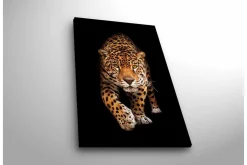 Canvastavla med LED-belysning - Jagande jaguar i fokus