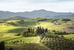 Canvastavla Tuscany