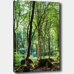 Canvastavla 70x100 cm - Lummig skog med höga träd och grönskande vegetation