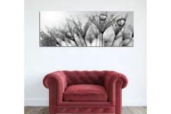 Canvastavla 80x30 cm - Svartvit bild av vattendroppar på fjädrar
