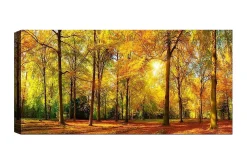 Canvastavla YTY Landscape & Nature Flerfärgad
