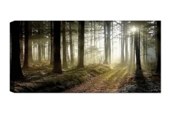 Canvastavla YTY Landscape & Nature Flerfärgad