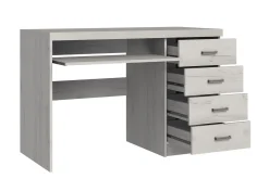 Castillia Skrivbord 120 cm med Förvaring 4 Lådor + Hylla