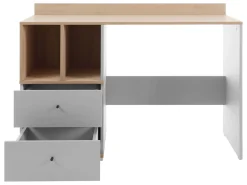 Edson Skrivbord 120 cm