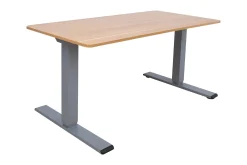 Ergo Optimal Skrivbord med 2 motor 160x80 cm Trä/Grå