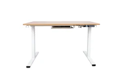 Ergo Skrivbord med 1 motor 120x60 cm Vit/ek