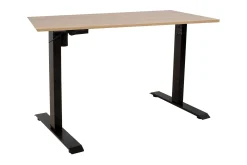 Ergo Skrivbord med en motor 160x80 cm Svart