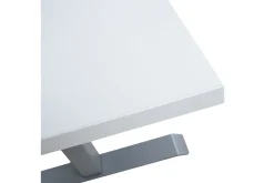 Ergosum 1 Skrivbord 160 cm Höj-och Sänkbar Elektrisk