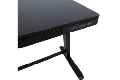 Ergosum Skrivbord 120 cm Höj-och Sänkbar