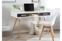 Frisange Skrivbord 120 cm med Förvaring 2 Lådor + Hylla