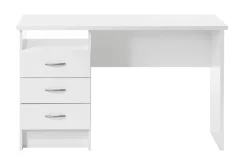 Function Skrivbord 120 cm med Förvaring Lådor + Hylla