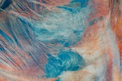 Furgon Matta 100x200 cm