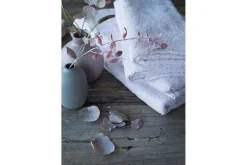 Handduk Basic Frotté