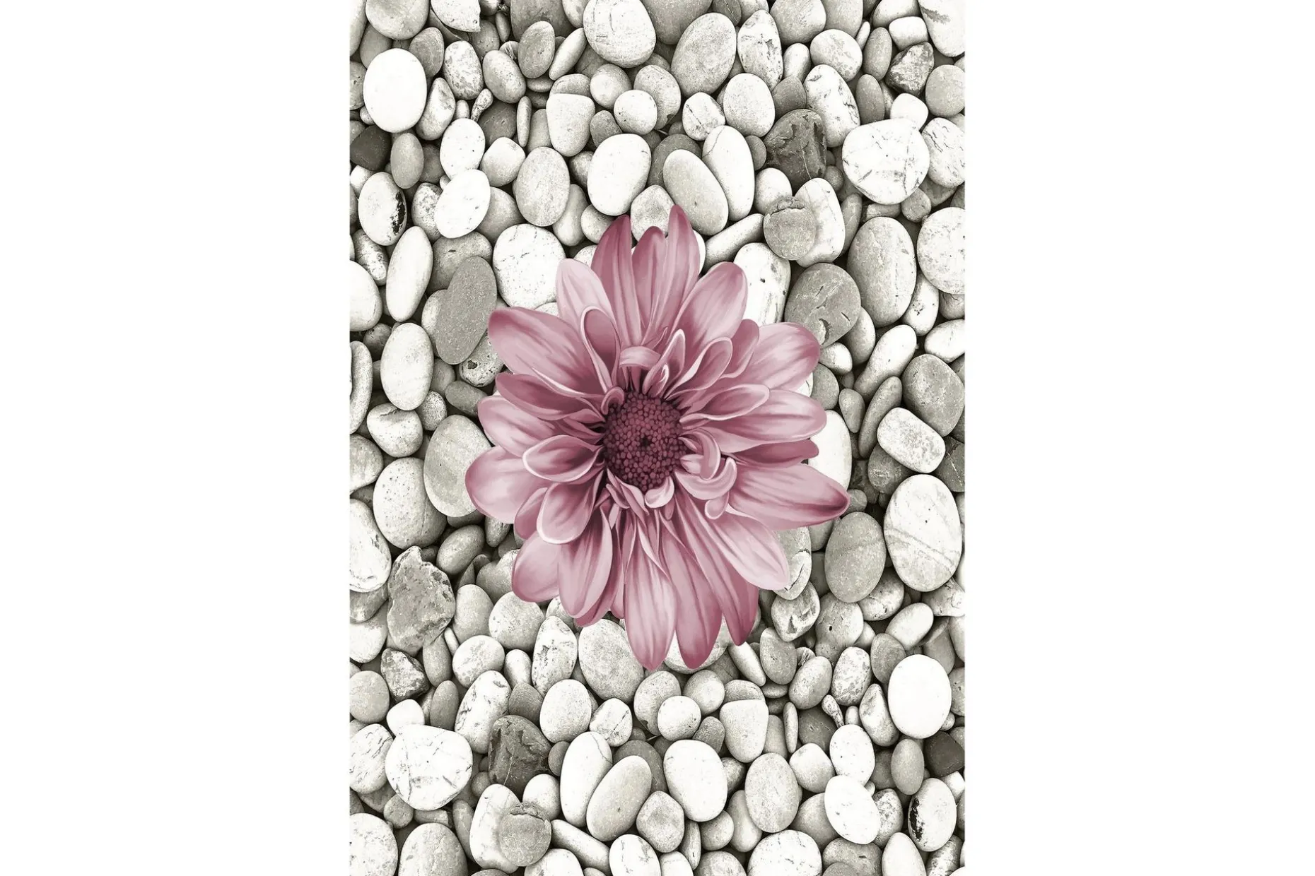 Homefesto Matta 60x100 cm