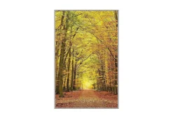 Homefesto Matta 180x280 cm