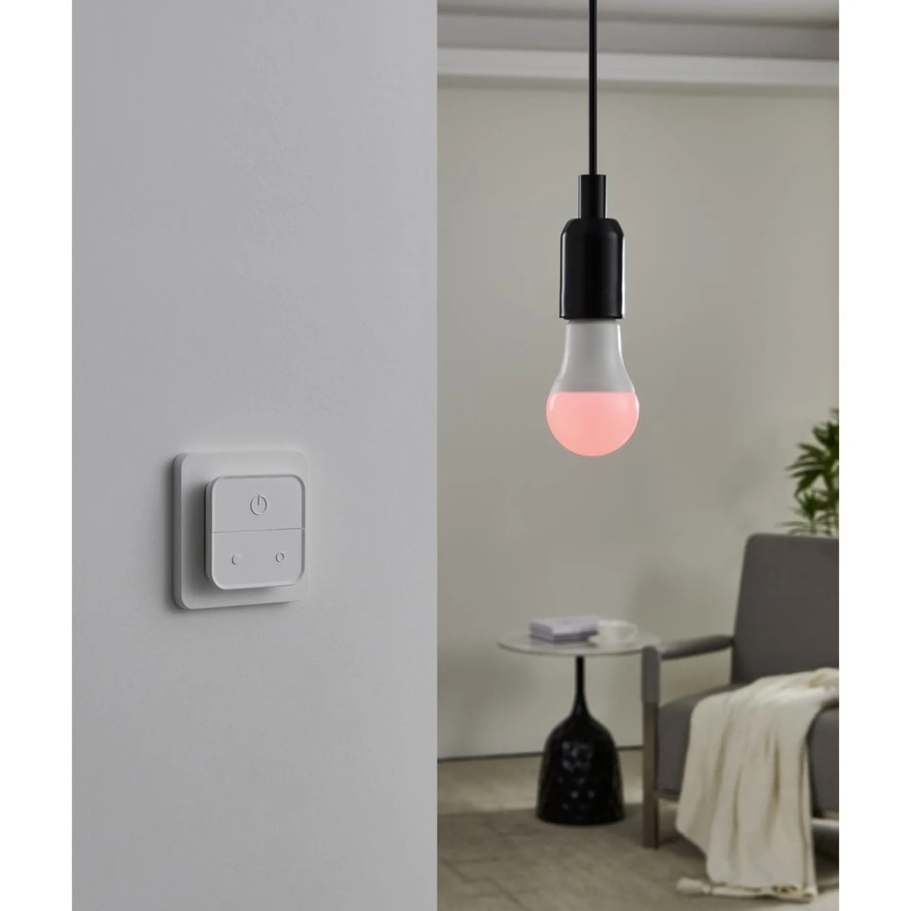 Ljuskälla 2xLM-ZIG-RGB/CCT E27 A60 9W Brytare