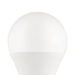 Ljuskälla 2xLM-ZIG-RGB/CCT E27 A60 9W Brytare