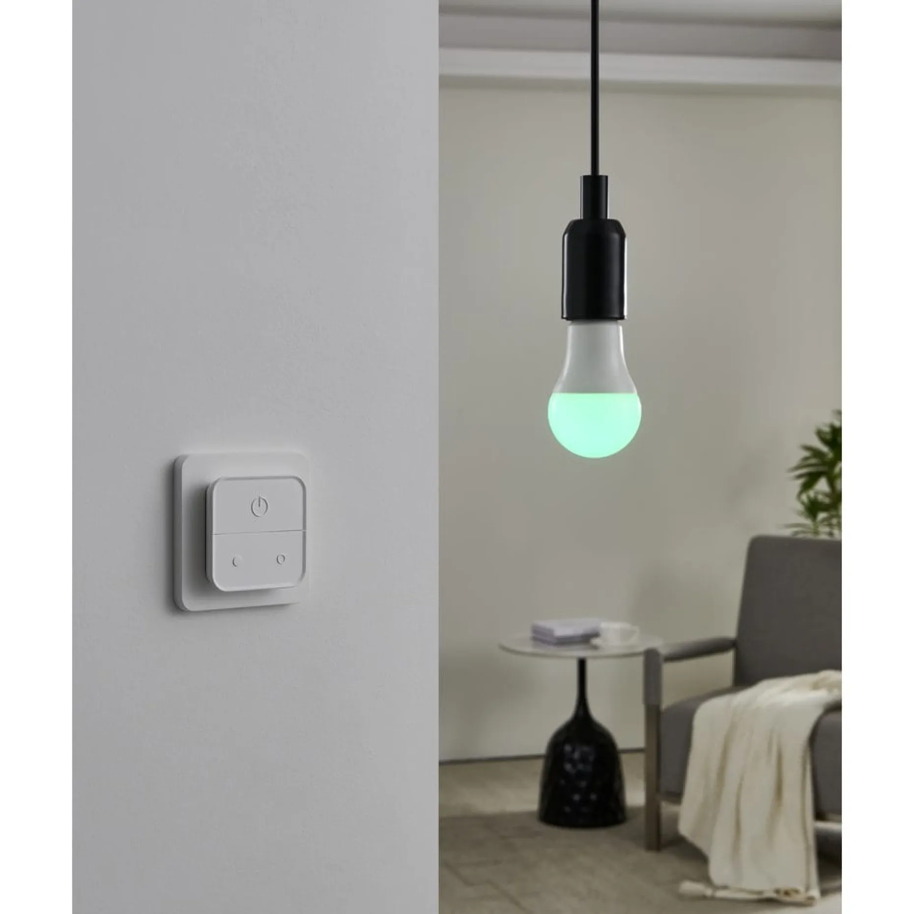Ljuskälla 2xLM-ZIG-RGB/CCT E27 A60 9W Brytare