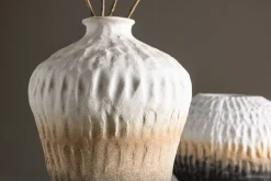 Pane Vas
