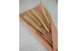 Poster Dry flowers 50x70 cm