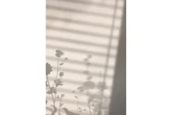Poster Flower Shadow 21x30 cm