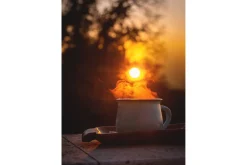 Poster Morning coffee 50x70 cm