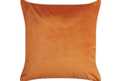 Prydnadskuddar Aeonium set om 2 Orange/svart