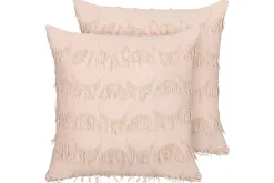 Prydnadskuddar Agastache set om 2 Rosa