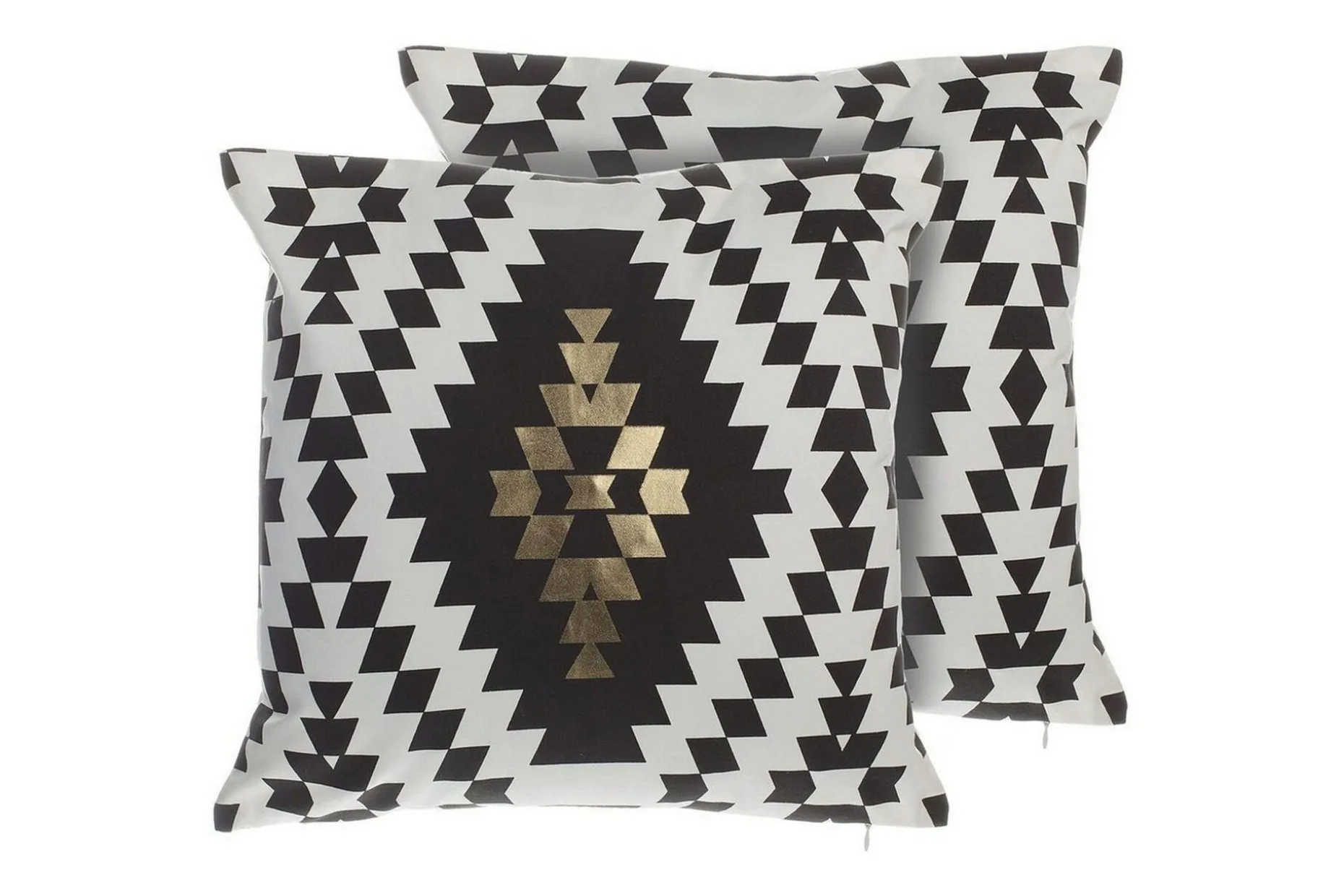 Prydnadskuddar Coleus set om 2