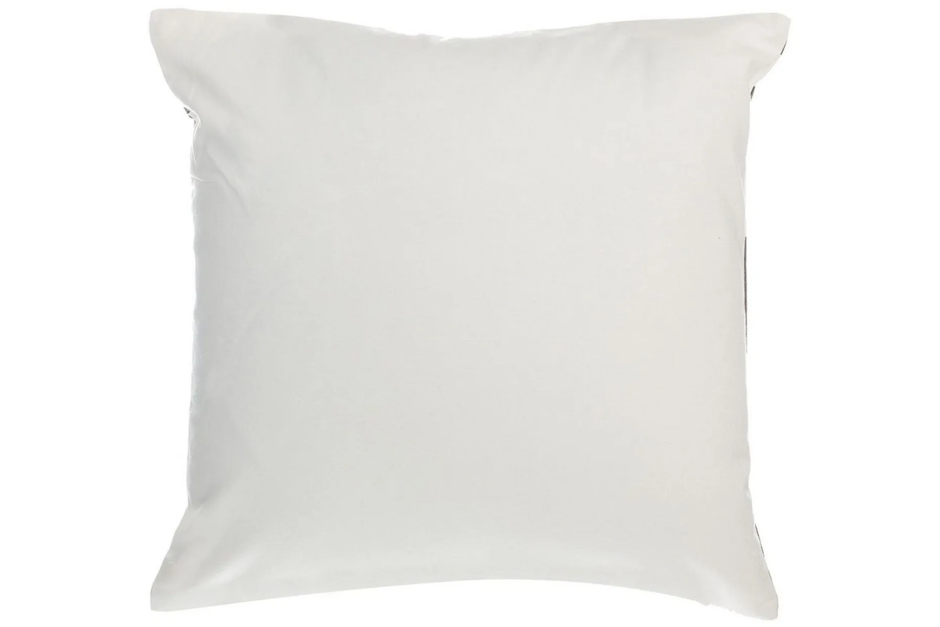 Prydnadskuddar Coleus set om 2