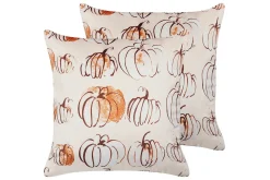 Prydnadskuddar Cucurbita set om 2