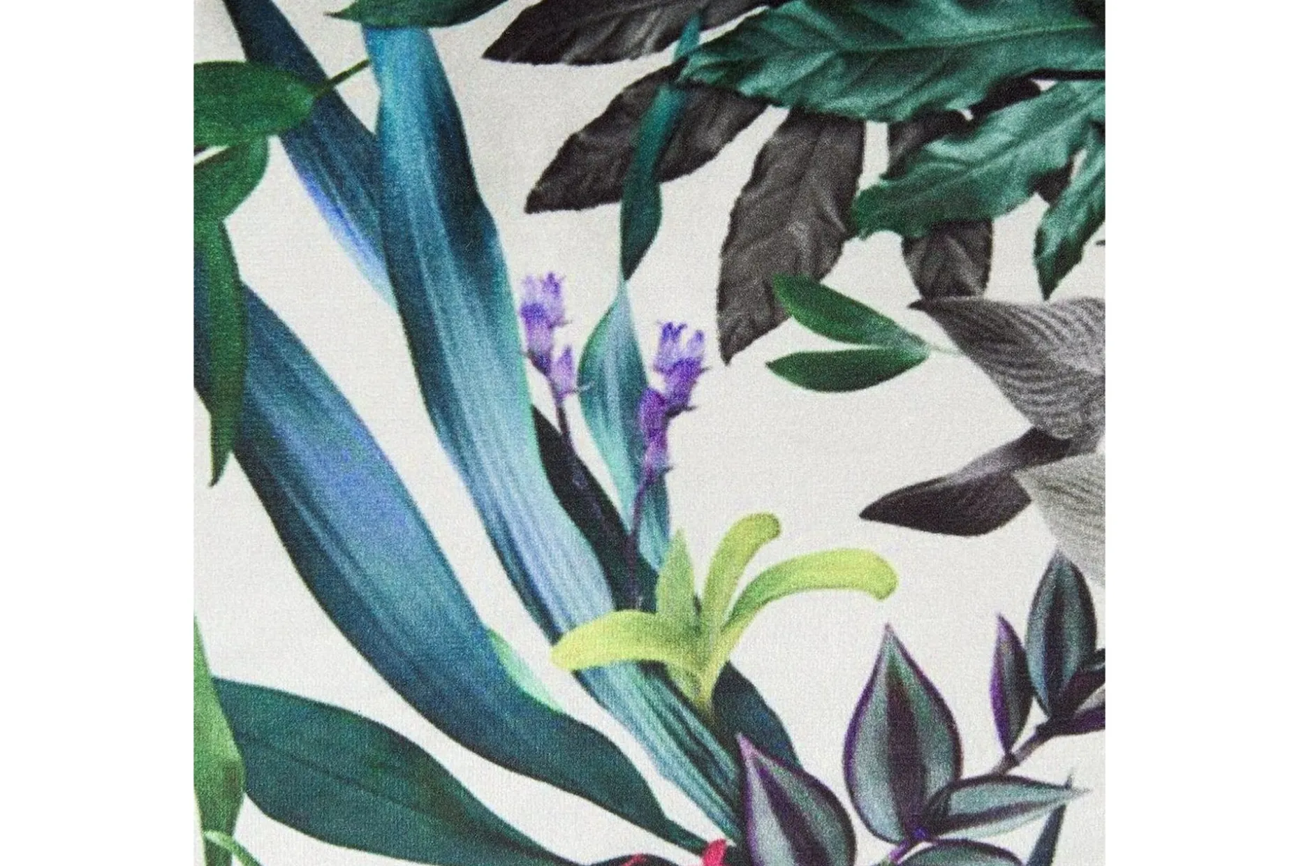 Prydnadskuddar Gasteria set om 2