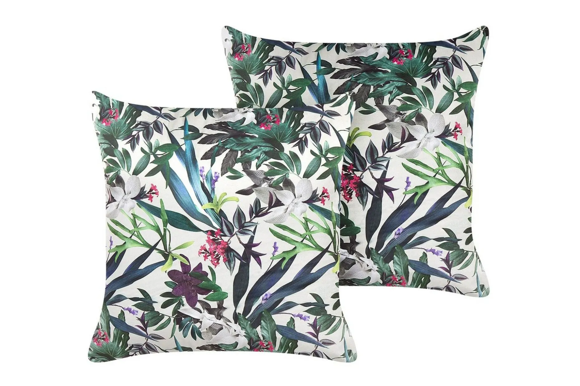 Prydnadskuddar Gasteria set om 2