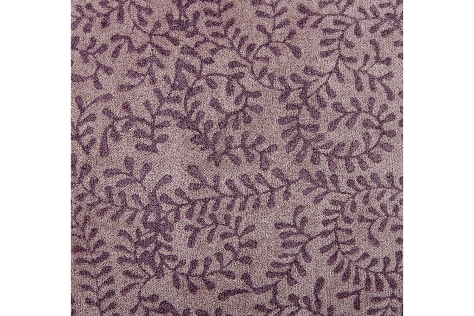 Prydnadskuddar Kalmia