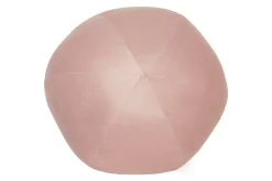 Prydnadskuddar Salvia Rosa