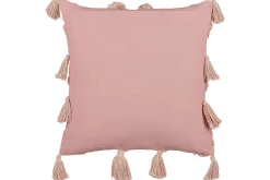 Prydnadskuddar Torenia set om 2