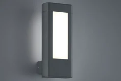 Rhine LED Vägglampa antracit
