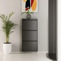 Rylanis Skoskåp 50x103 cm