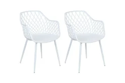 Set med 2 matstolar Nashua ll