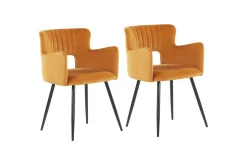Set med 2 matstolar Sanilac
