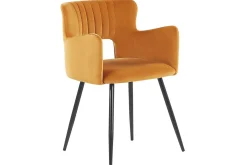 Set med 2 matstolar Sanilac