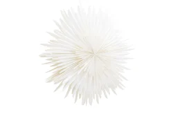 Sälen Adventsstjärna / Jullampa 100 cm
