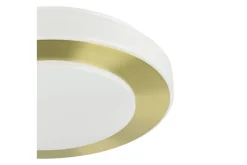 Taklampa Eglo Led Carpi