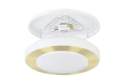 Taklampa Eglo Led Carpi