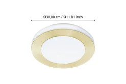 Taklampa Eglo Led Carpi