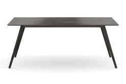 Tyrö Rektangulär Matbord & köksbord 190 cm x 90 cm Askträ