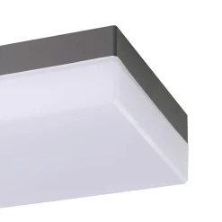 Utvändig vägg-/taklampa Sonella